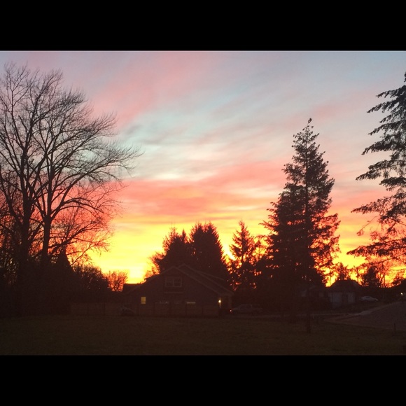 Meet your Posher, Tami - Picture 1 of 1